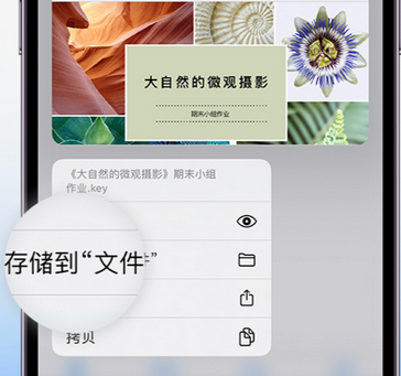 民乐apple维修中心分享iPhone文件应用中存储和找到下载文件