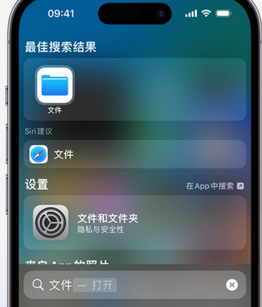 民乐apple维修中心分享iPhone文件应用中存储和找到下载文件 