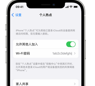 民乐apple服务站点分享iPhone上个人热点丢失了怎么办 