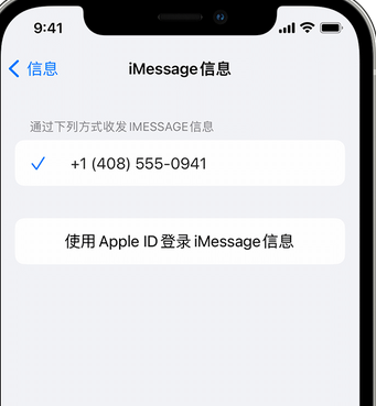 民乐apple维修iPhone上无法正常发送iMessage信息 