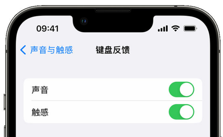 民乐苹果手机维修分享iPhone 14触感键盘使用方法 