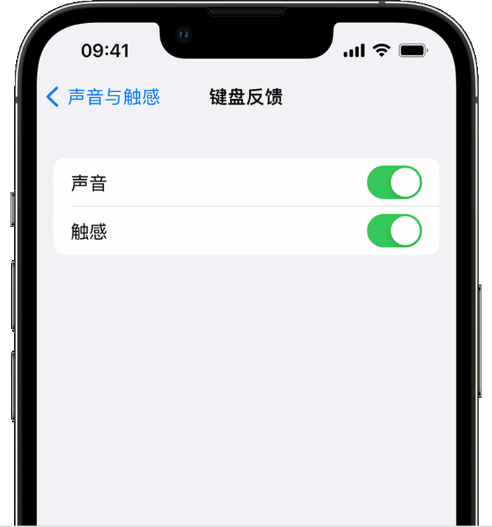 民乐苹果14维修店分享如何在 iPhone 14 机型中使用触感键盘 