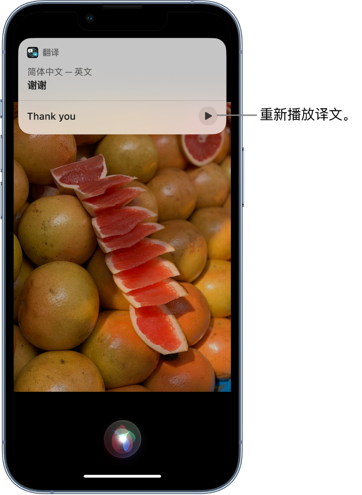 民乐苹果14维修分享 iPhone 14 机型中使用 Siri：了解 Siri 能帮你做什么 