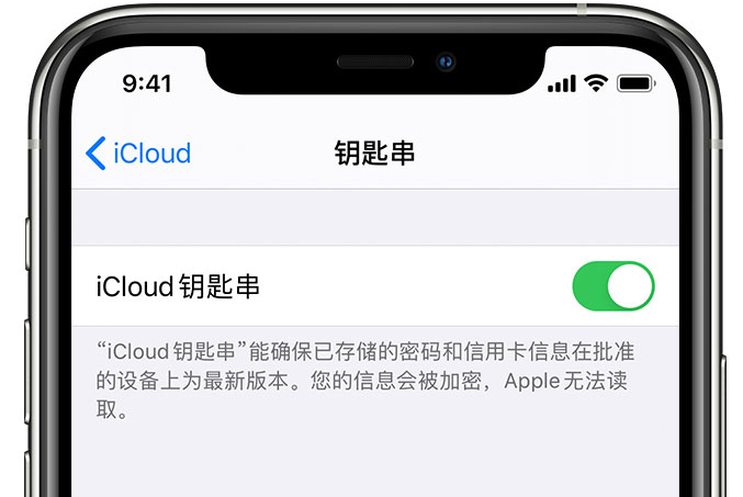 民乐苹果手机维修分享在 iPhone 上开启 iCloud 钥匙串之后会储存哪些信息 