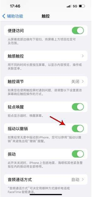 民乐苹果手机维修分享iPhone手机如何设置摇一摇删除文字 