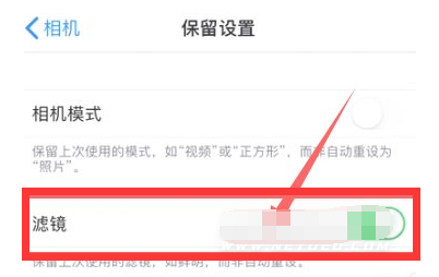 民乐苹果13维修分享iPhone13拍照有绿点是怎么回事 