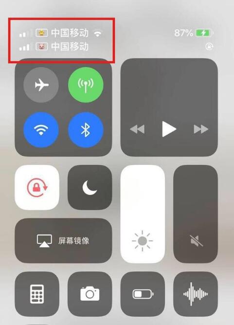 民乐苹果手机维修分享为 iPhone 12 双卡设置标签 